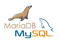 logo13 client-image
